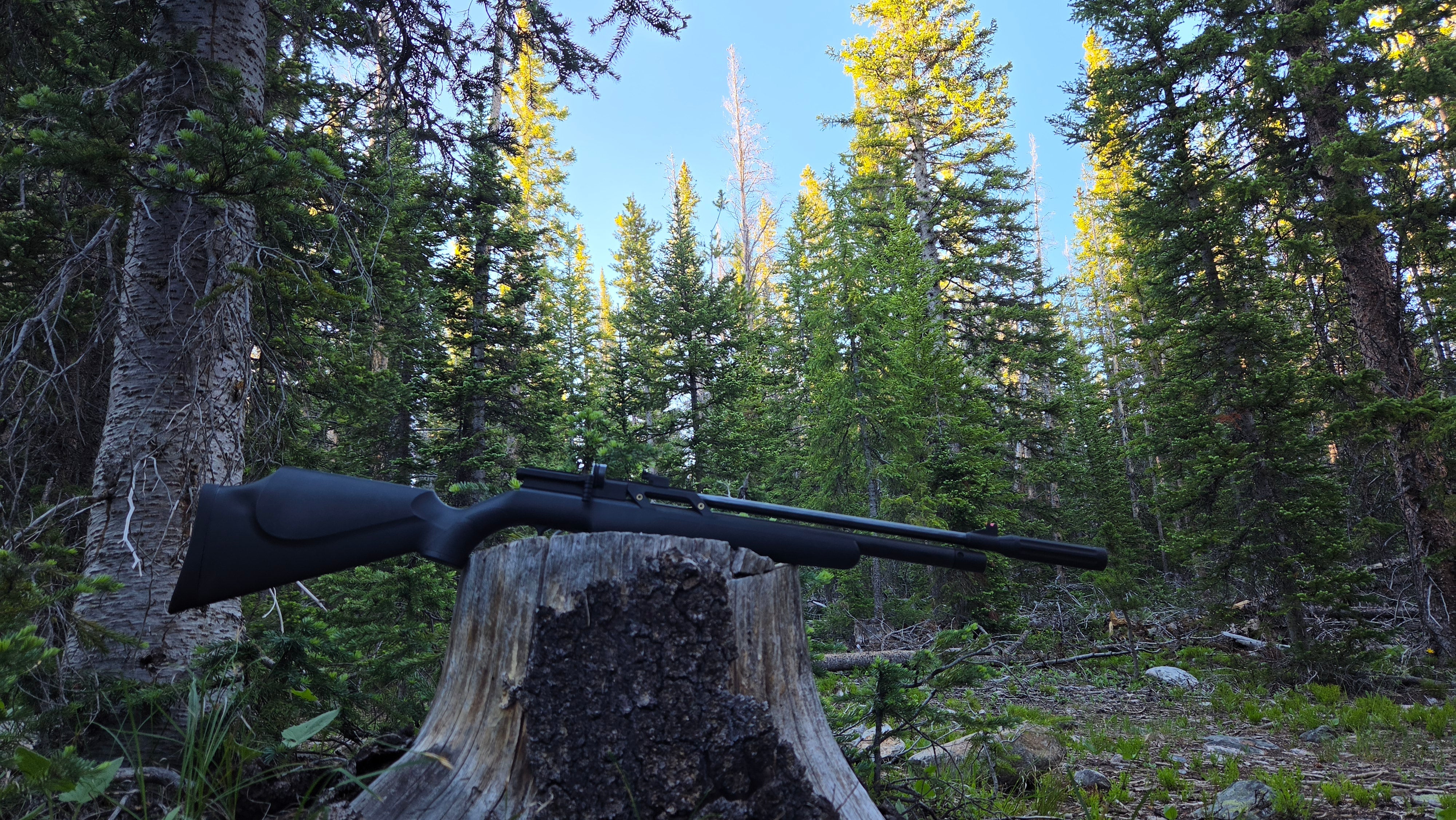 PCP Air Rifle