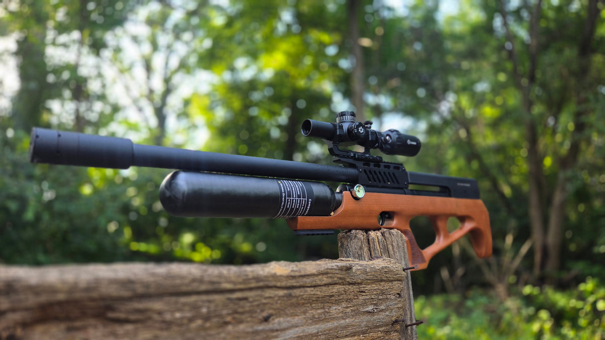 pinty-pcp-airrifle