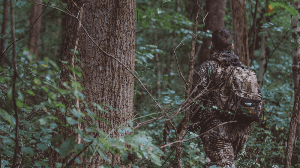 Hunting Season Success - How to Choose the Perfect Rifle Scope & Prepare for Epic Hunts