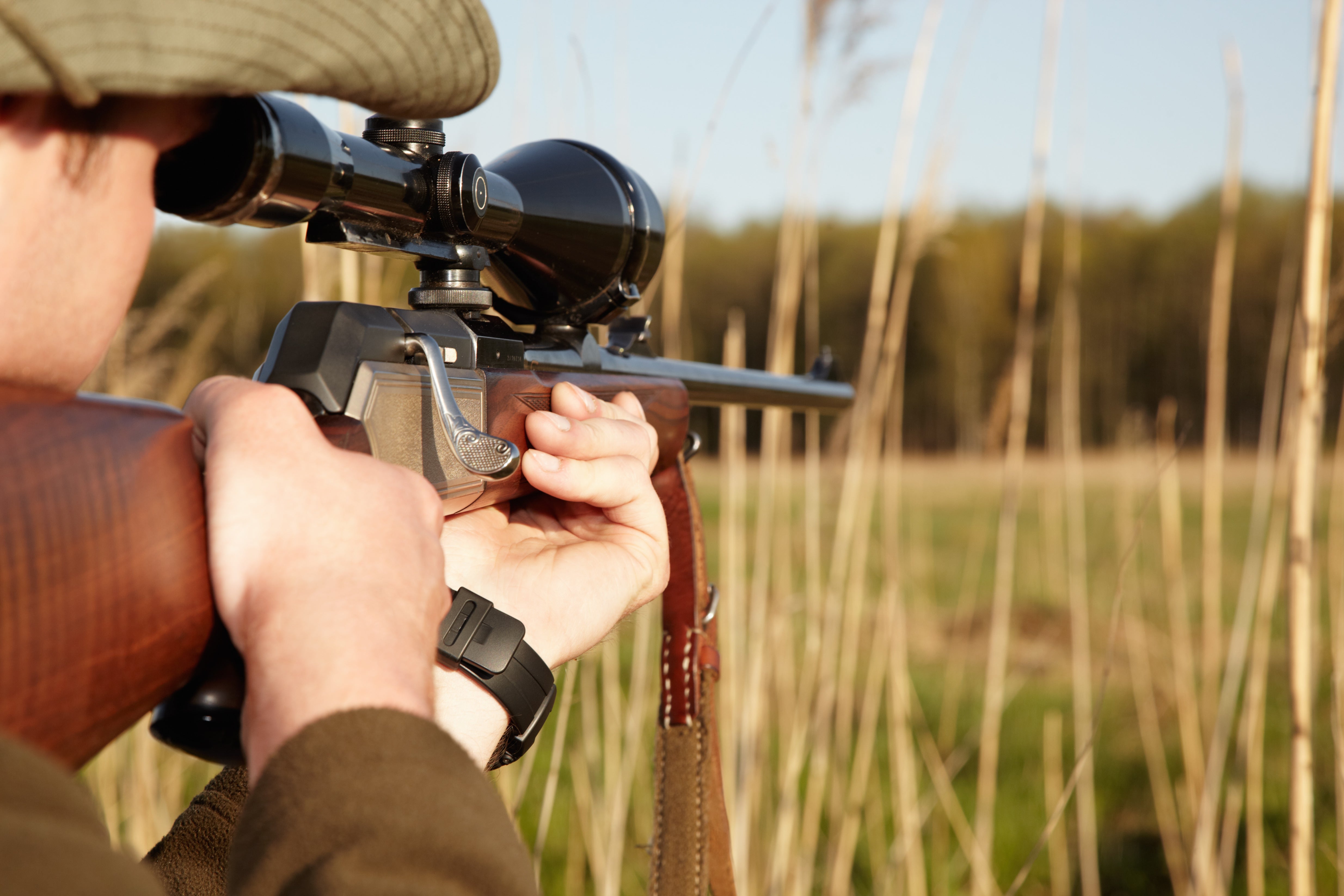 California Hunting Seasons