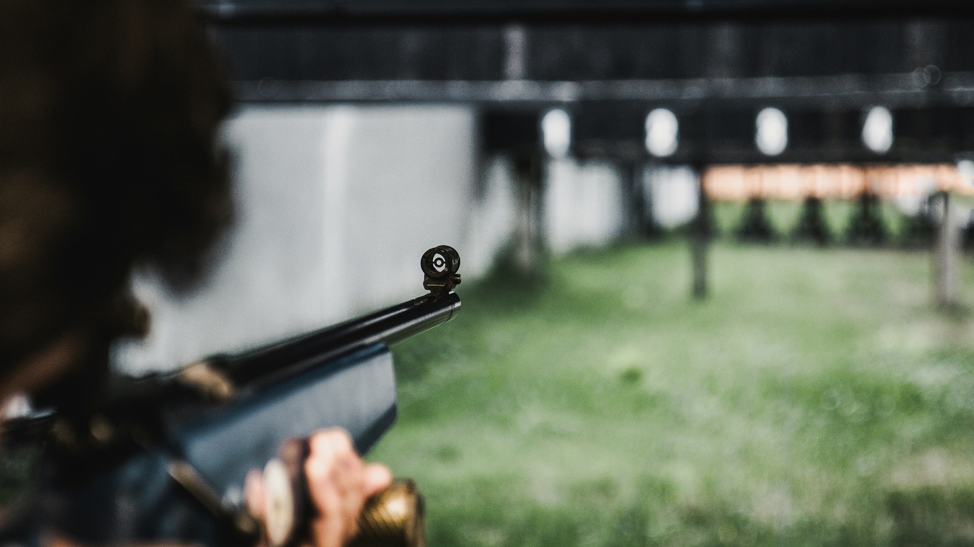 5 Best PCP Air Rifle Under $500: Top Budget Picks for 2026