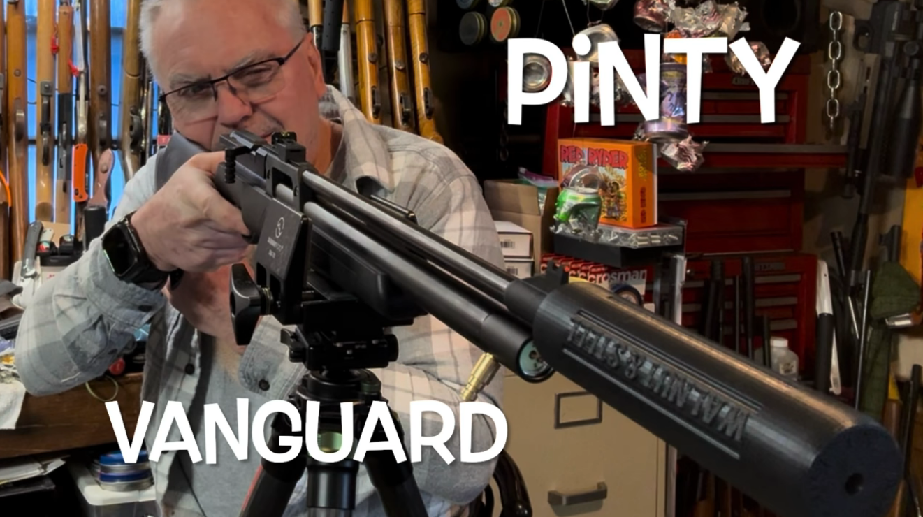 Pinty Vanguard vs Diana Stormrider Gen 2 vs JTS AirStryke: Which Budget PCP Air Rifle Offers the Best Value?