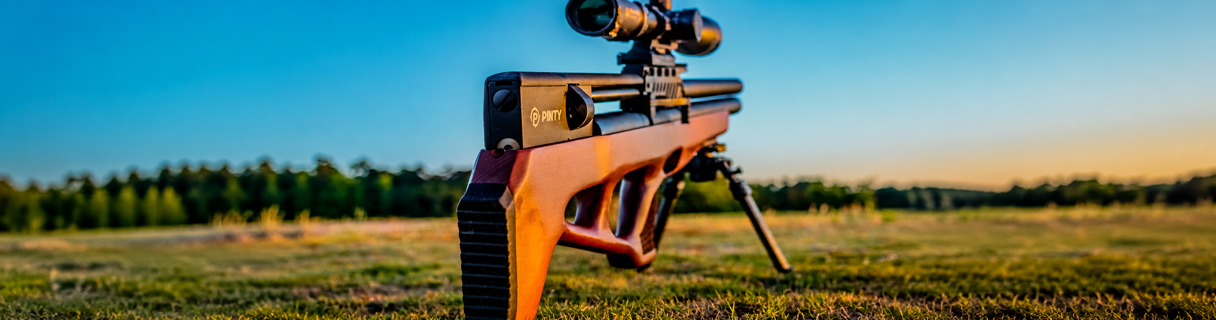PINTY × GUNNR Rifle Scopes