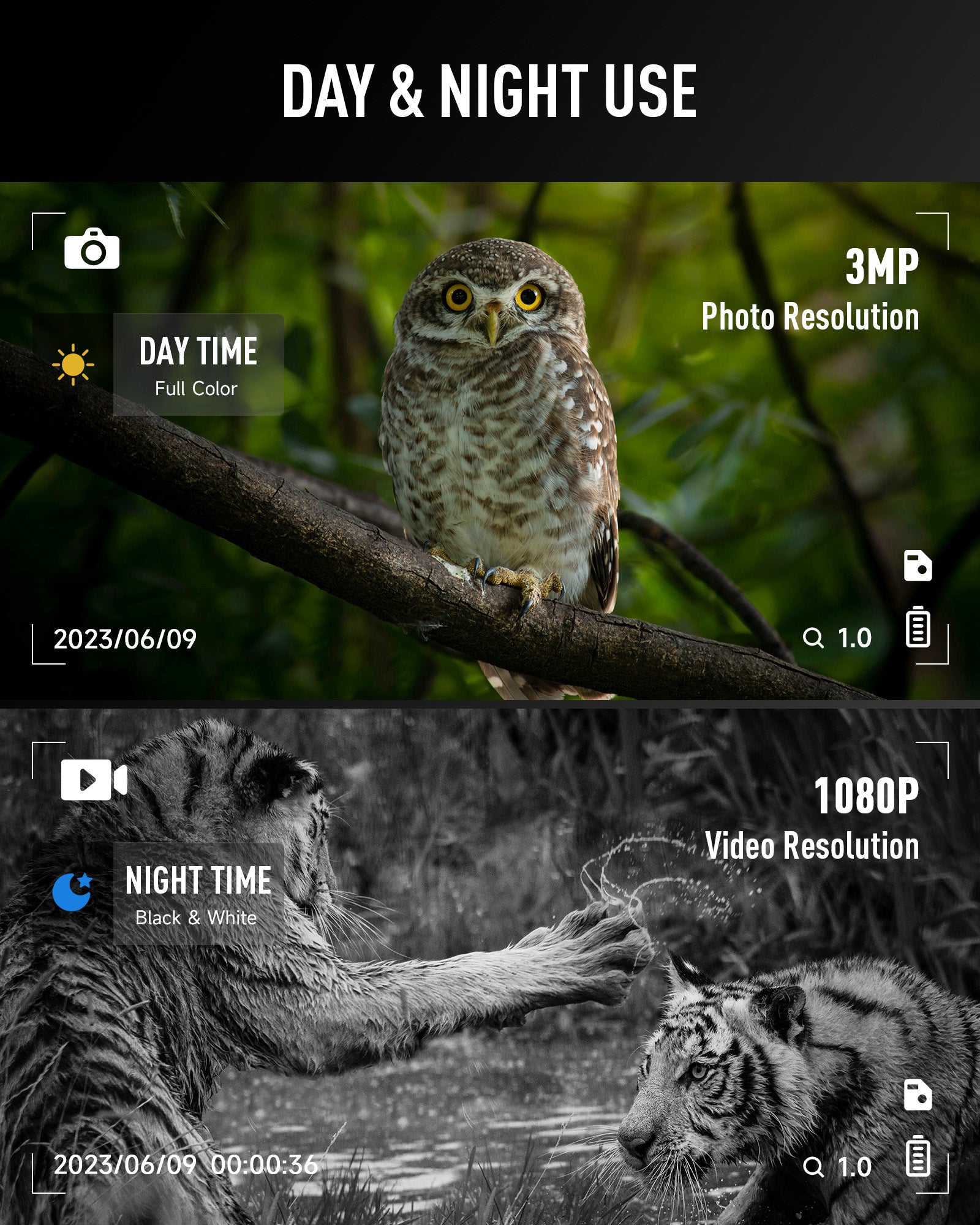 Pinty Head Mounted Night Vision Goggles