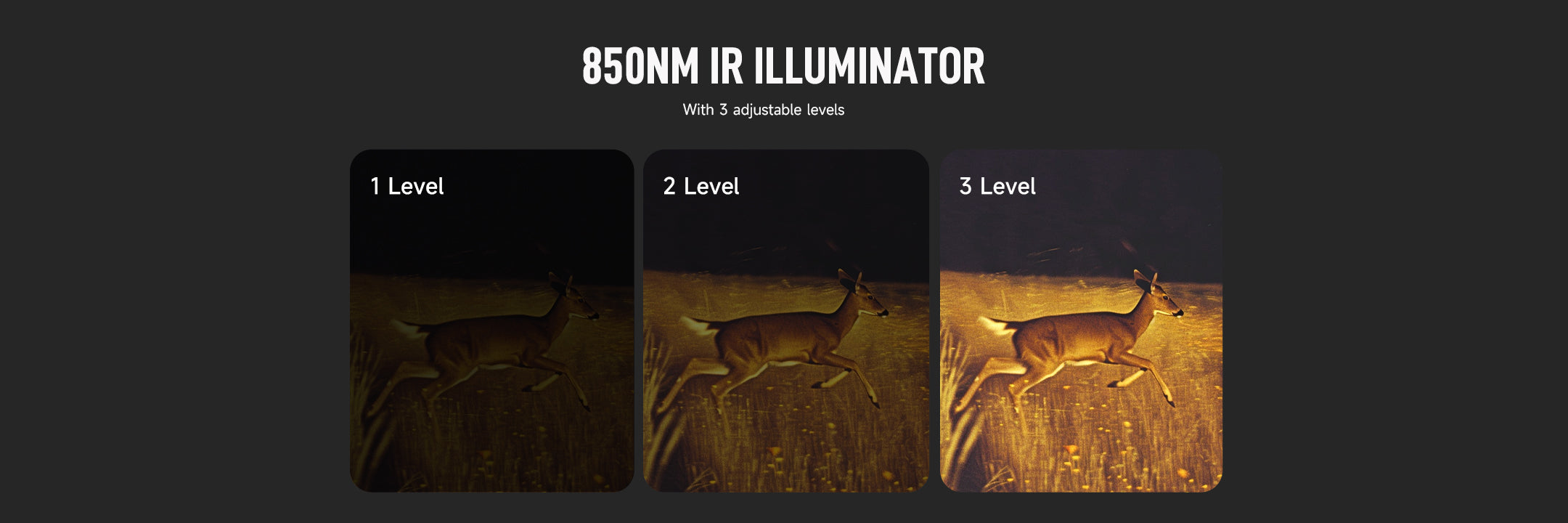 Pinty Night Vision Goggles