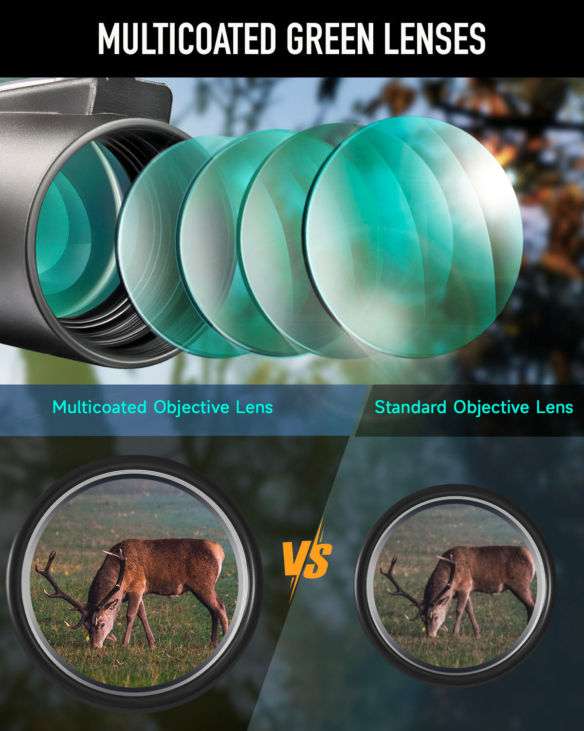 Pinty 4x32 Prism Scope