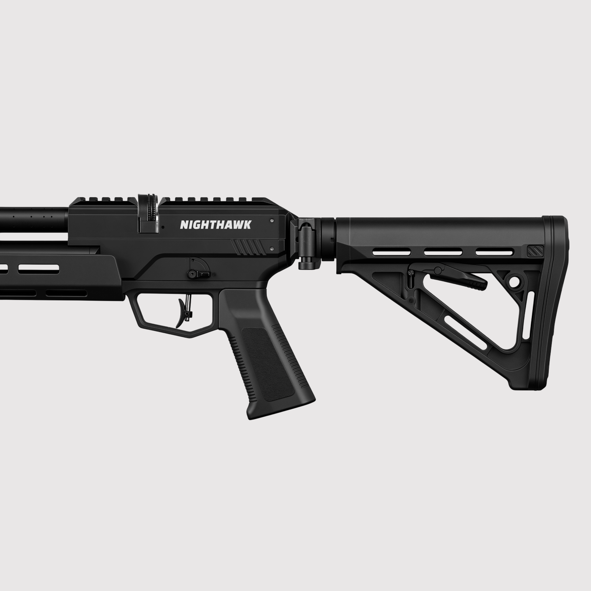 Pinty Nighthawk