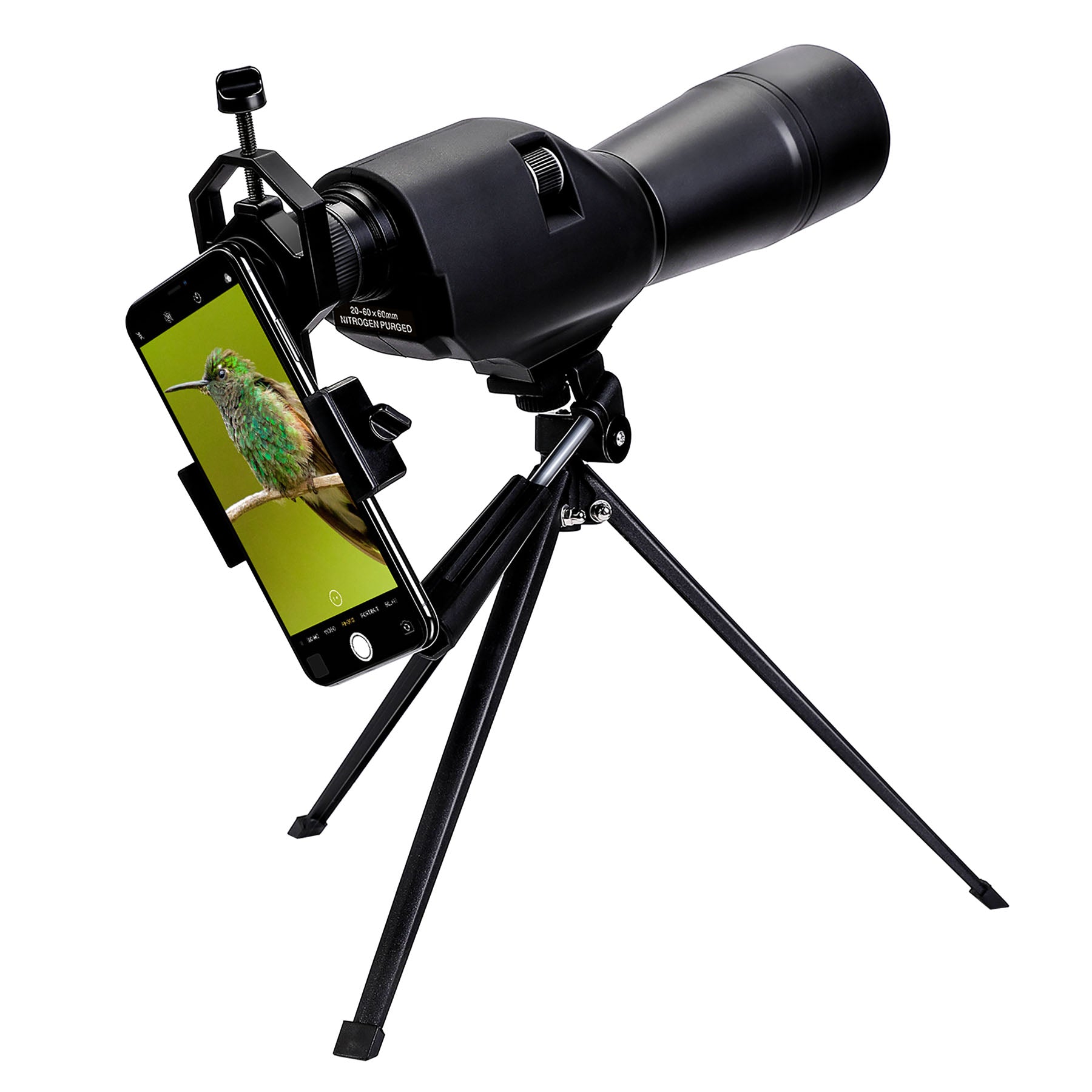 Powerful Magnification Range
