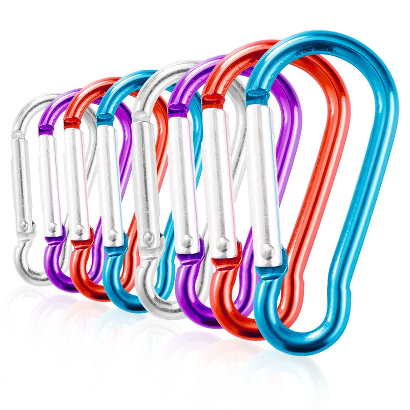 10 Pcs Mini Carabiner for Keys & Outdoor Tools