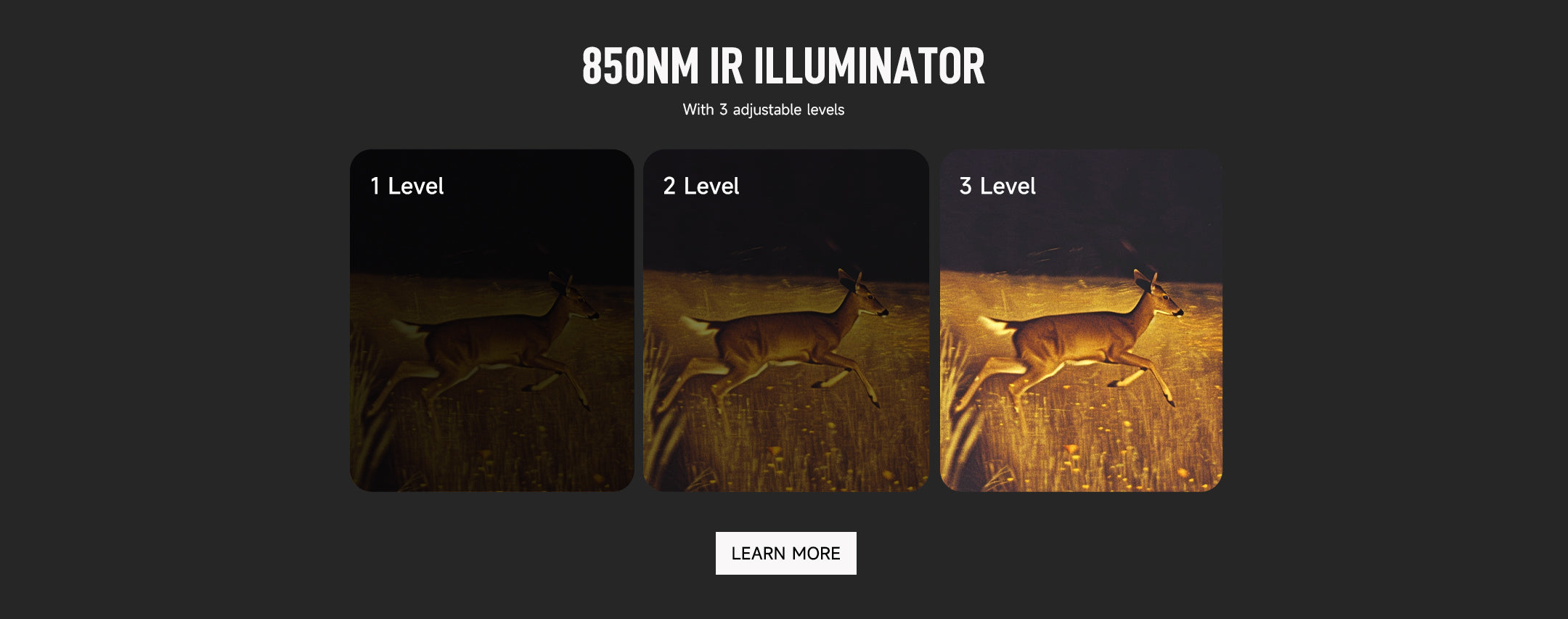 Pinty Night Vision Goggles