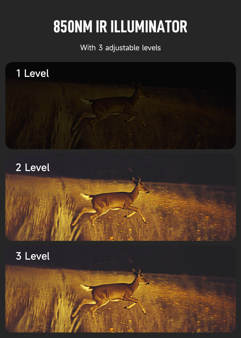 Pinty Night Vision Goggles