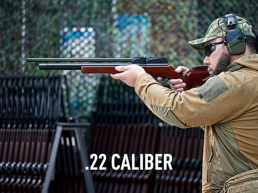 PCP Air Rifle: Your Ultimate Companion for Precision Shooting