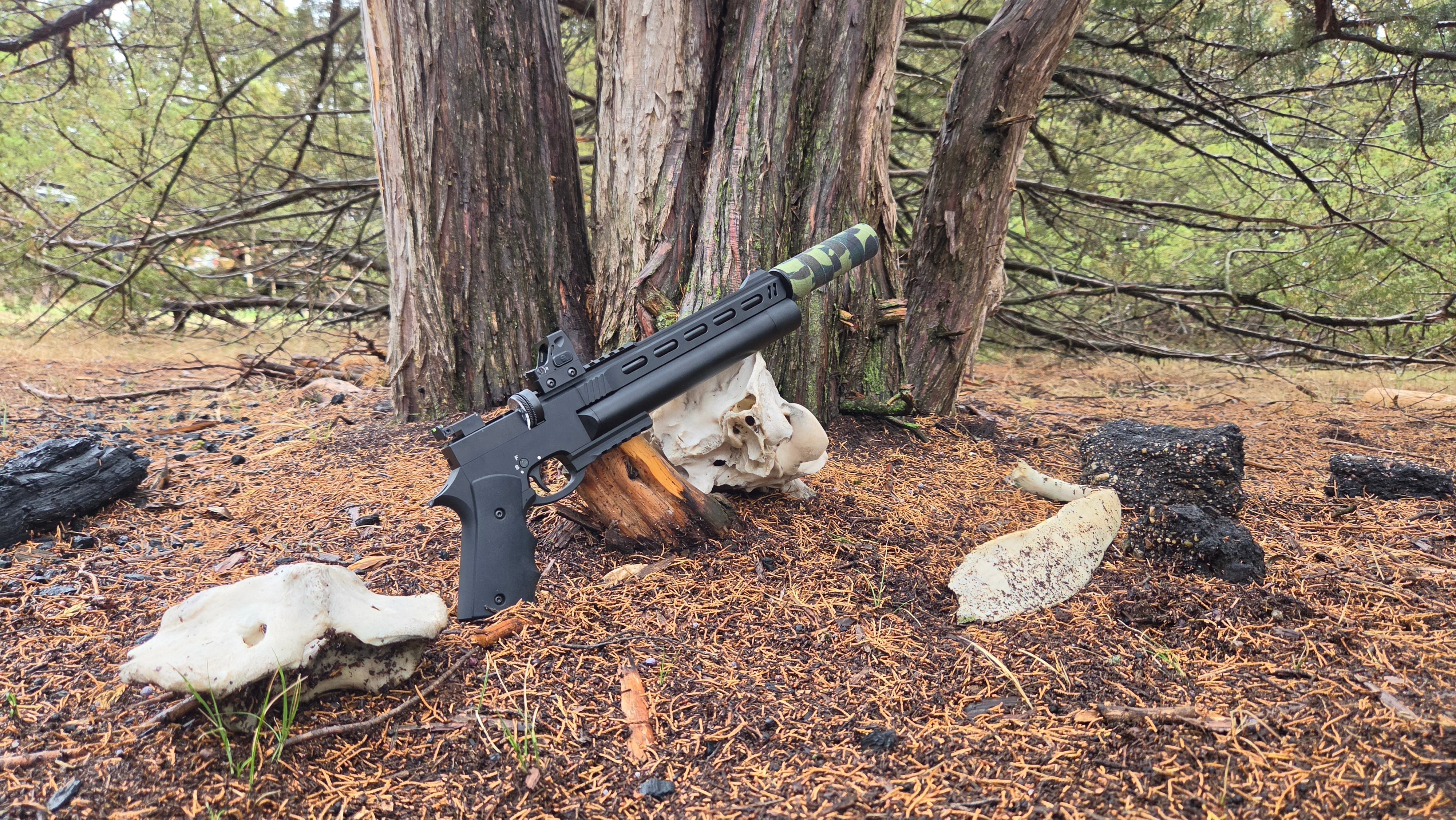 pinty-pcp-air-rifles
