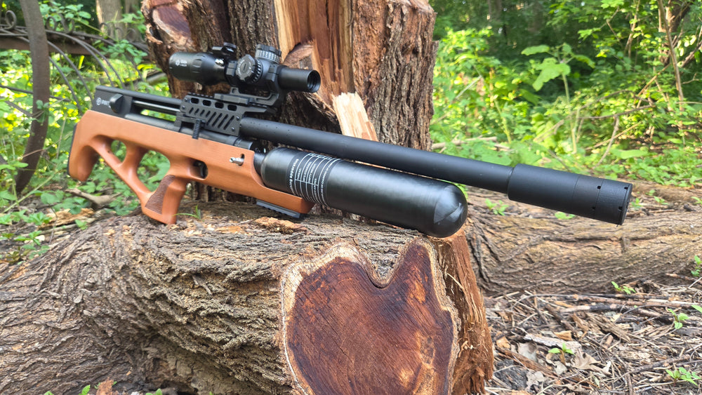 Pellet vs BB Gun: What I Wish I Knew Before Buying – Pinty Scopes