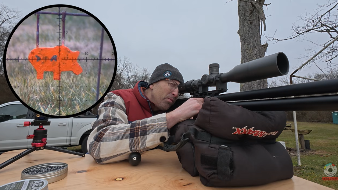 Pinty Striker .25 Cal Reviews – Budget PCP or Hidden Gem?