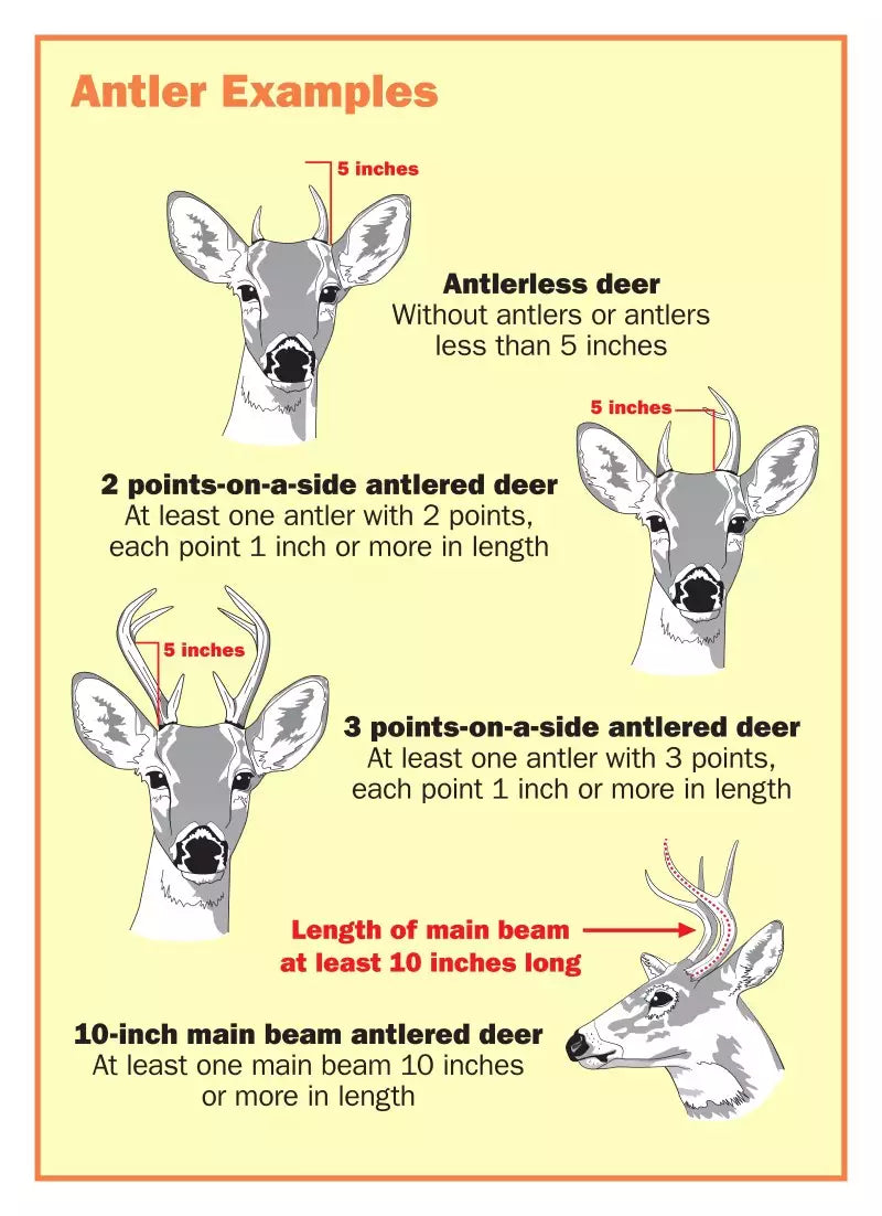 Hunting Zones & Deer Management Units in 2024-2025 Florida