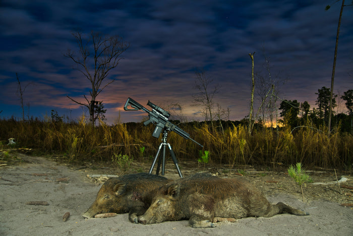 Responsibly Hunt Florida’s Most Destructive Invasive Species Wild Hog🐗