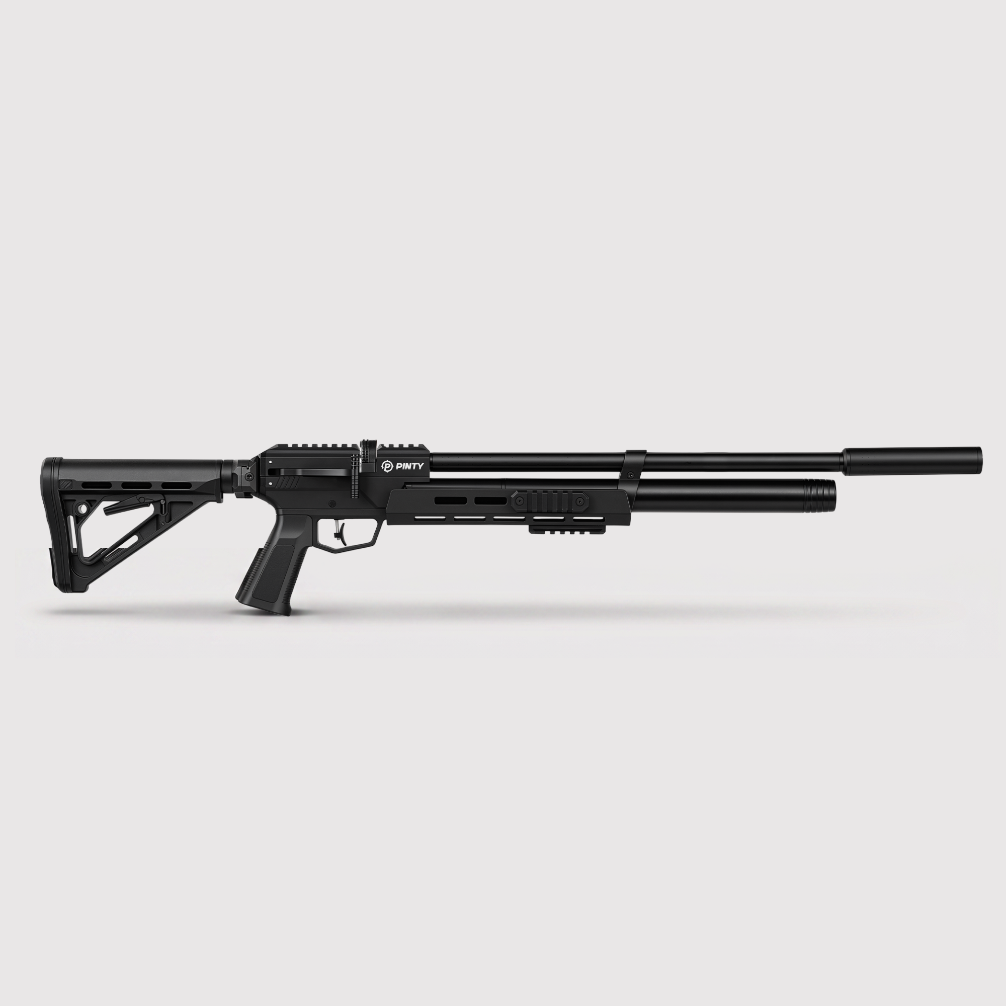 Pinty Nighthawk
