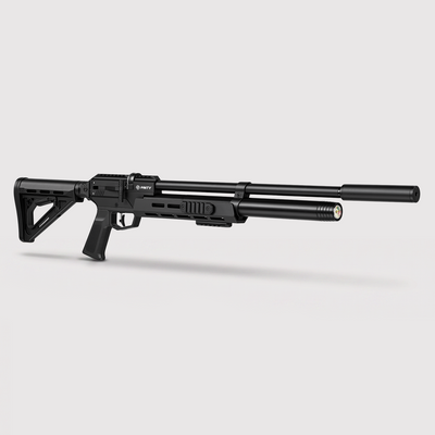 Pinty Nighthawk