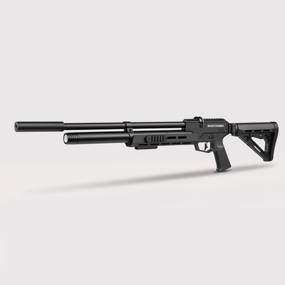 Pinty Nighthawk