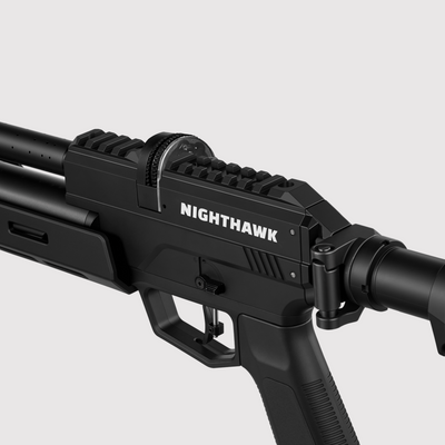 Pinty Nighthawk