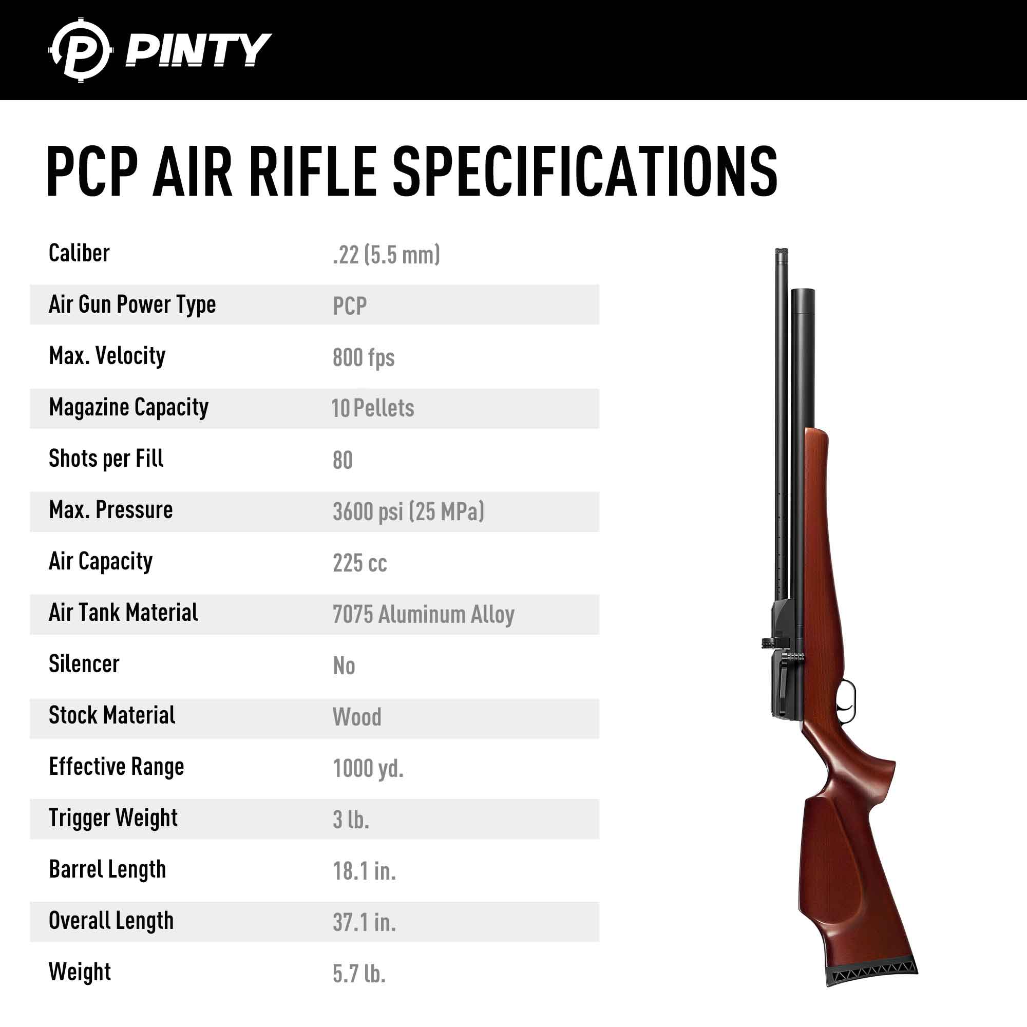 10 Pellet .22Cal PCP Pellet Gun Air Rifles for Hunting