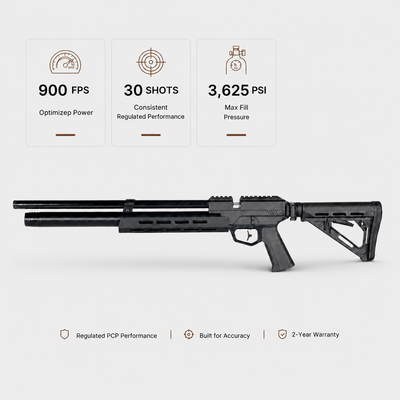 Pinty Nighthawk