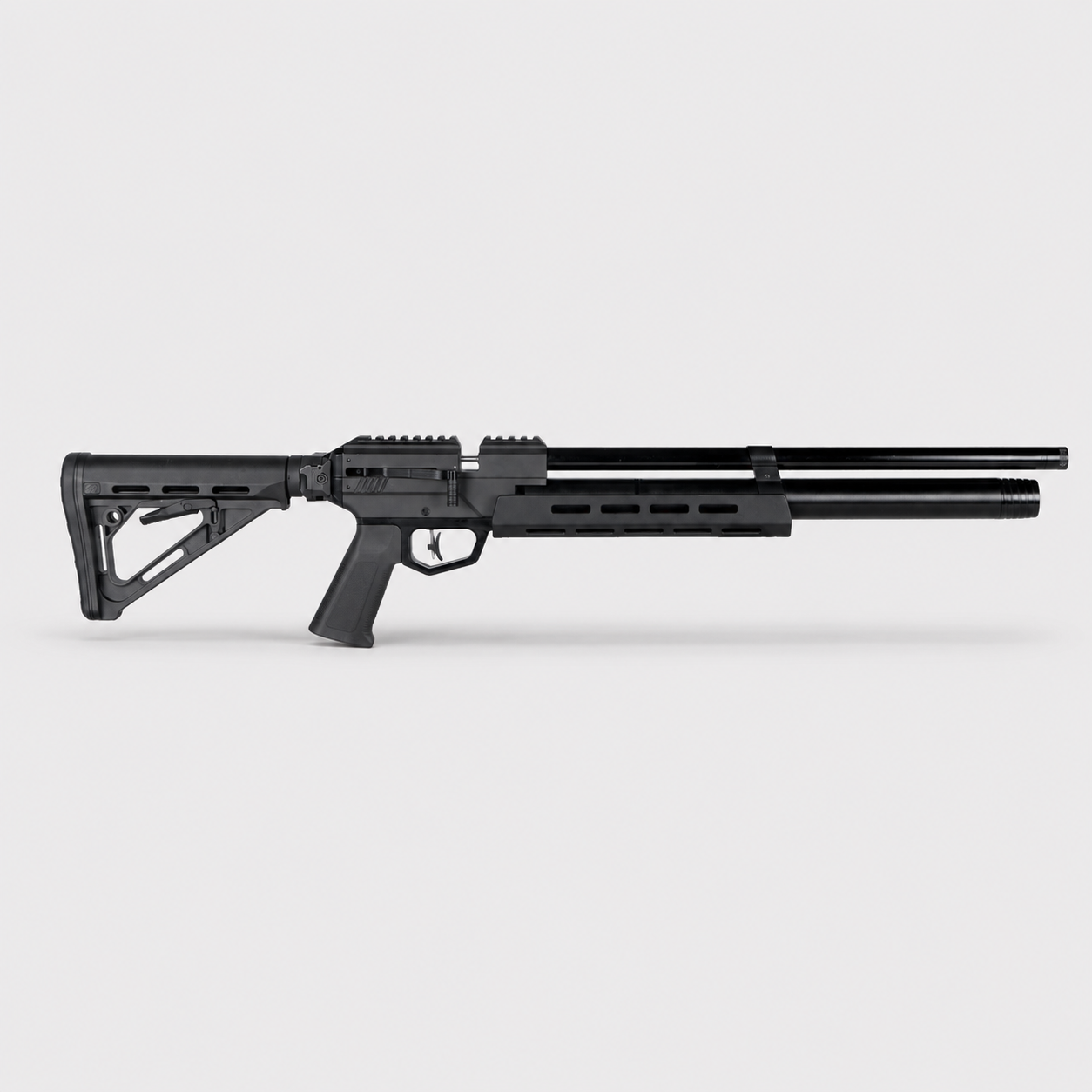 Pinty Nighthawk