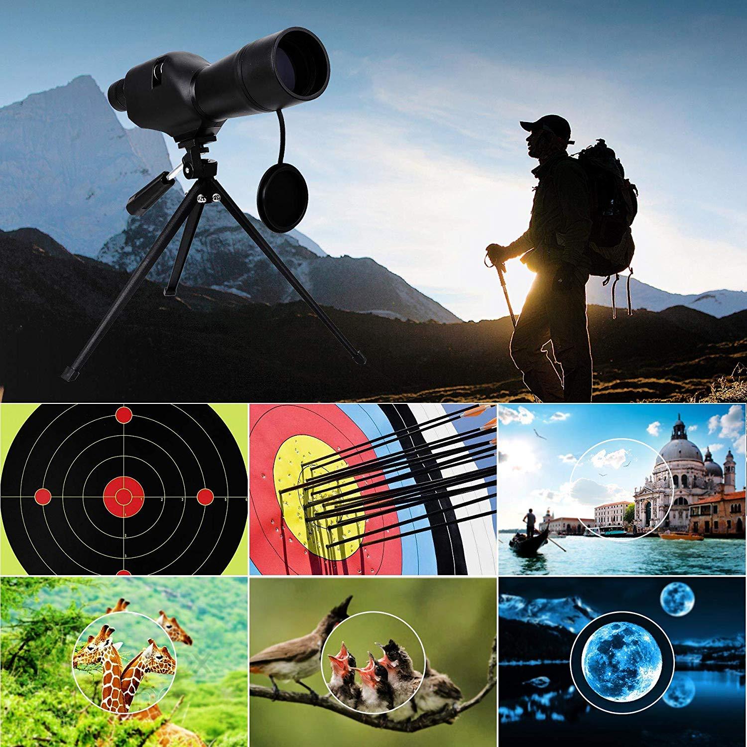 best spotting scope for the money -best spotting scopes -best spotting scope for hunting 