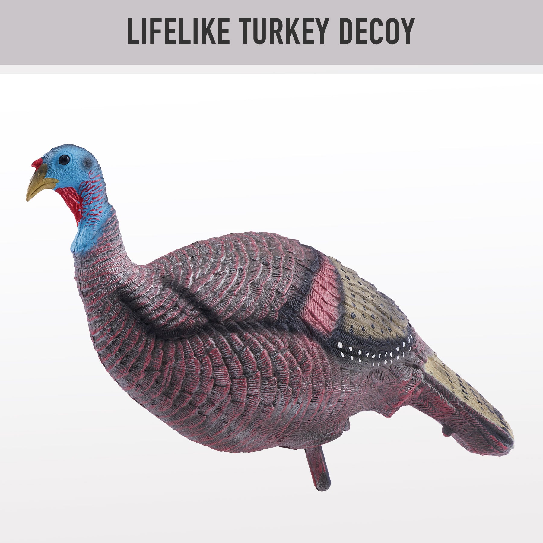 1.3 lb Realistic Standing Turkey Decoy, Hunting Accessory for Turkey Hunters