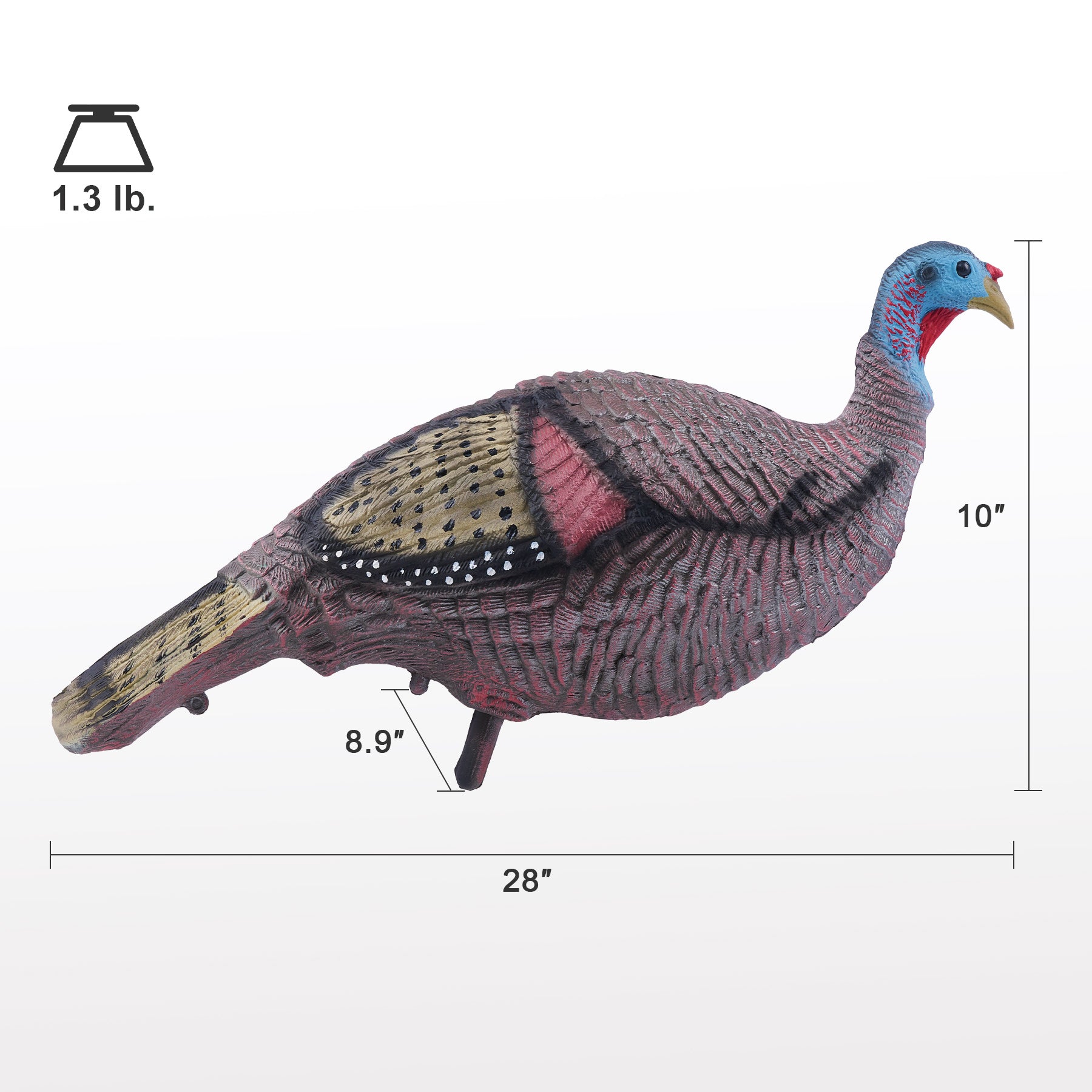 1.3 lb Realistic Standing Turkey Decoy, Hunting Accessory for Turkey Hunters