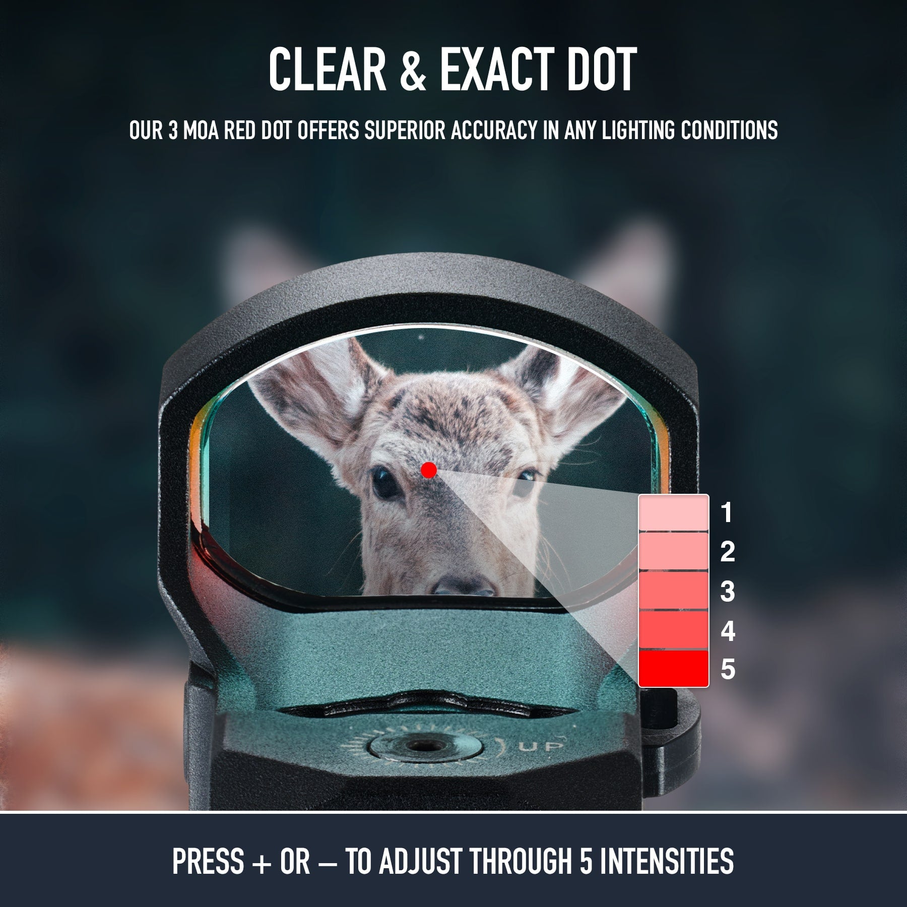 reflex-sights-aimpoint red dot-ak red dot 